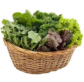 Spinach and Leaf's